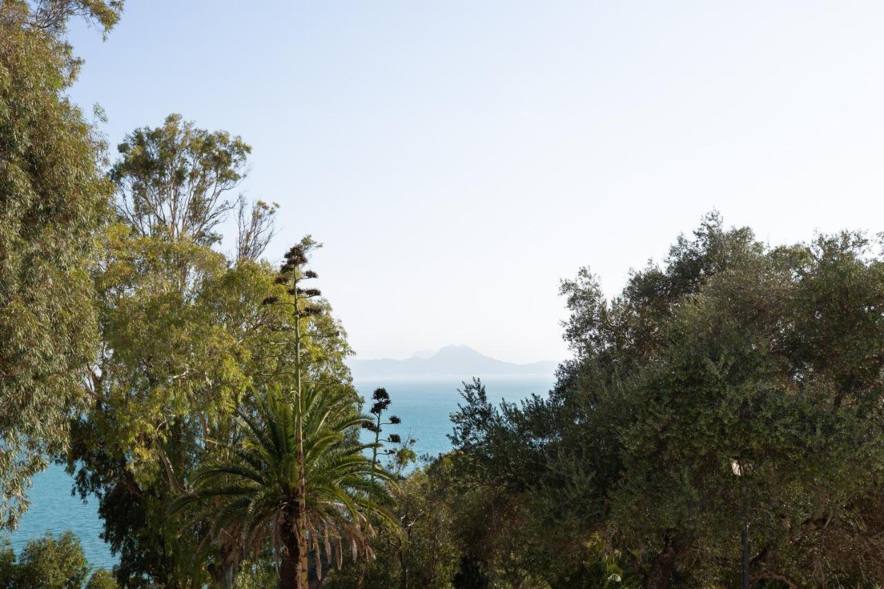 Si Brahim Studio Piscine, Sidi Bou Said Exterior photo